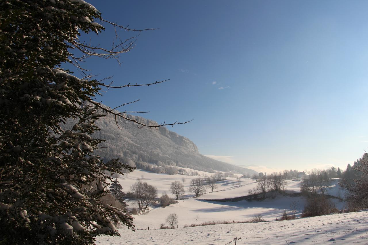 Cafe Brochier Hotel Saint-Julien-en-Vercors Exteriér fotografie
